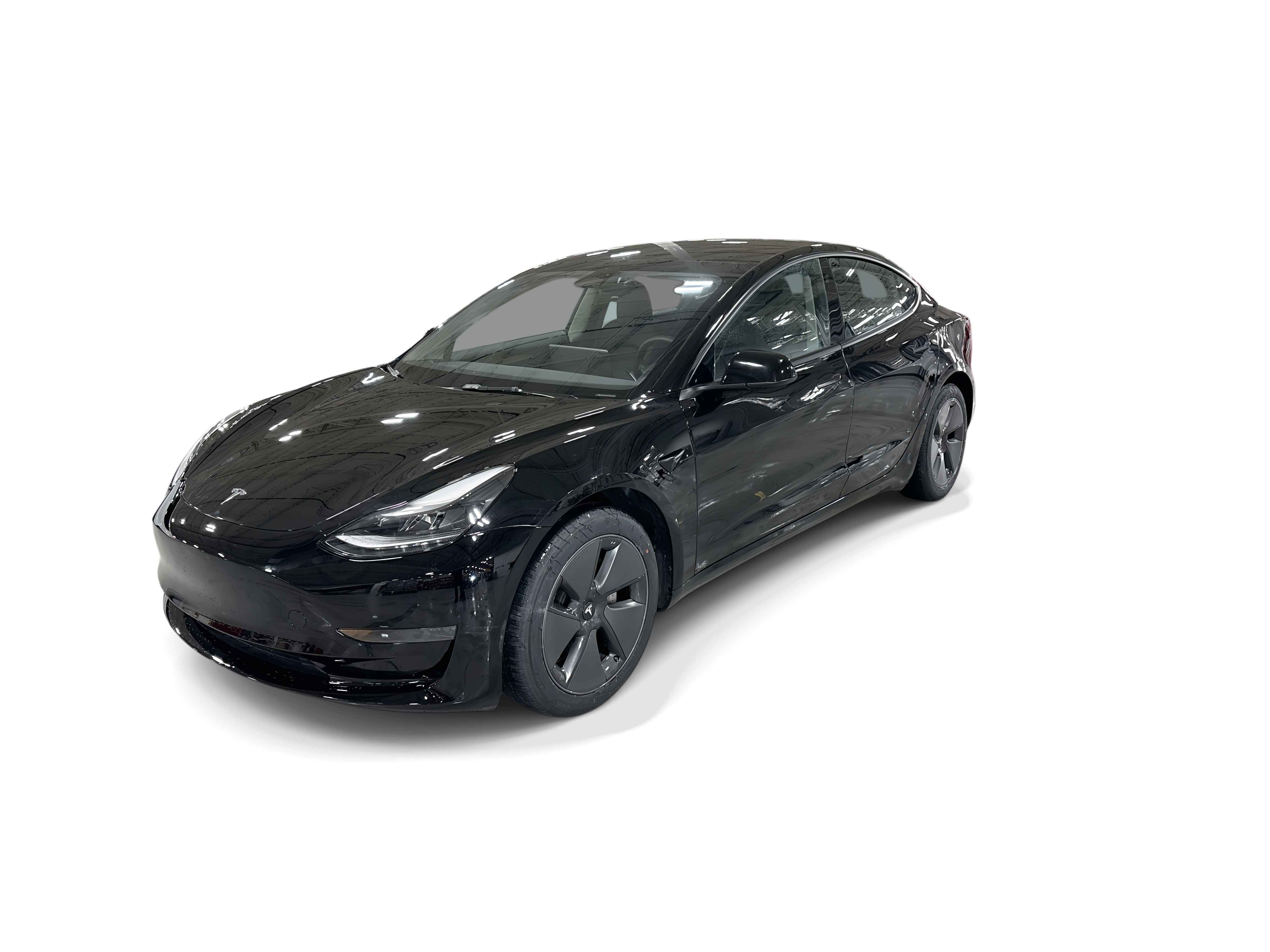 tesla model 3 2023 5YJ3E1EA2PF570891 image tesla model 3 2023 5YJ3E1EA2PF570891 image